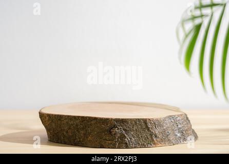 Plateau de table podium de souche en bois a rouillé palmier de feuille vert frais sur fond de nature d'espace blanc.Beauty cosmétique produit naturel affichage minimal. Banque D'Images