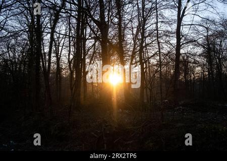 France, Bretagne, Sainte-Hélène le 2021-12-21. La forêt domaniale de Coetquen au lever du soleil à la fin de l'automne. Photographie de Martin Bertrand. France, Bretagne, Banque D'Images