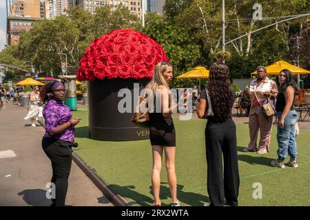 Activation de la marque venus et Fleur au Flatiron Plaza à New York le vendredi 8 septembre 2023. Venus et Fleur vendent de vraies roses qui ont été traitées pendant environ un an. Initialement, la vente en ligne seulement la marque ouvre maintenant des magasins de détail. © Richard B. Levine) Banque D'Images