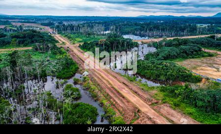 Autoroute vide dans la jungle, future capitale Ciudad de la Paz, Rio muni, Guinée équatoriale, Afrique Banque D'Images