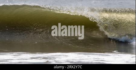 Vue horizontale d'une très grande vague formant une boucle de près à Gilgo Beach long Island. Banque D'Images