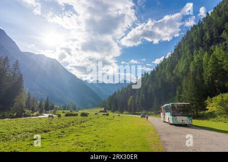 Mallnitz : Vallée de Mallnitzbach, ruisseau Mallnitzbach, chevaux, bus, Parc National du Haut Tauern dans le Parc National Hohe Tauern, Kärnten, Carinthie, Autriche Banque D'Images