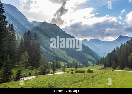 Mallnitz : Vallée de Mallnitzbach, ruisseau Mallnitzbach, chevaux, Parc National du Haut Tauern dans le Parc National Hohe Tauern, Kärnten, Carinthie, Autriche Banque D'Images