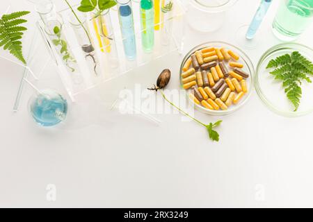 Tubes à essai avec des plantes dans un support, vitamines sur un fond clair, laboratoire. Banque D'Images