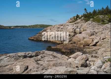 Côte rocheuse au bord de l'océan Atlantique, Dr. Bill Freedman nature Preserve, conservation de la nature Canada, Nouvelle-Écosse, Canada, Amérique du Nord Banque D'Images