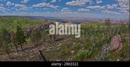 House Valley, avec les falaises de Vermilion au loin, vue depuis le sommet de Saddle Mountain sur le bord nord du Grand Canyon Banque D'Images