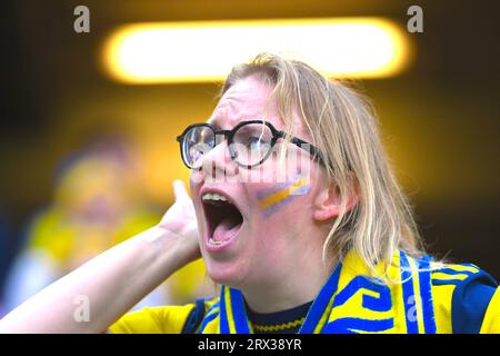 Gothenburg, Suède. 22 septembre 2023. Gamla Ullevi, Gothenburg, Suède, 22 septembre 2023 : fan suédois lors du match en UEFA Nations League le 22 septembre 2023 entre la Suède et l'Espagne au Gamla Ullevi à Gothenburg, Suède (Peter Sonander/SPP) crédit : SPP Sport Press photo. /Alamy Live News Banque D'Images