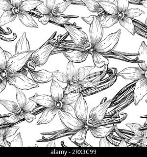 Motif sans couture Vanilla Flowers. Illustration vectorielle florale dessinée à la main d'orchidées et de bâtons. Croquis d'épice alimentaire ou ingrédient pour l'huile essentielle pour envelopper le papier sur fond isolé blanc. Illustration de Vecteur
