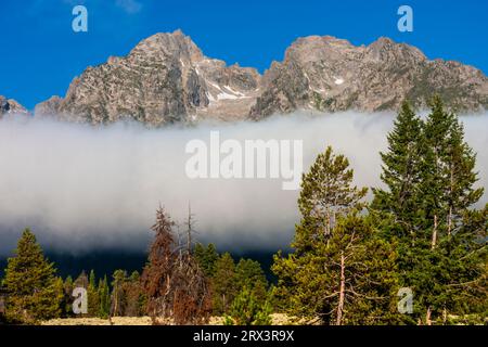 Nuages bas et brouillard germent la chaîne de montagnes de Grand Tetons dans la lumière tôt le matin. Cette montagne est la plus jeune des montagnes Rocheuses. Banque D'Images