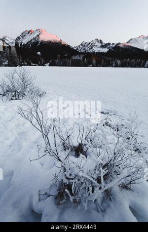 Photo verticale de paysage de Strba tarn gelé et enneigé (Strbske pleso) en hiver. Montagnes en Slovaquie avec lac gelé et branches sur Banque D'Images