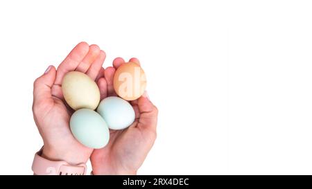 Mains de femmes caucasiennes tenant des œufs de poule colorés. eggers de Pâques en couleur bleue, verte et brune. Oeufs d'araucana ameraucana isolés avec espace de copie Banque D'Images