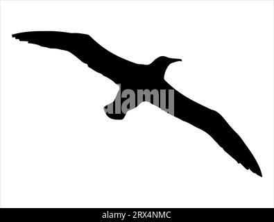 Albatross silhouette vecteur art fond blanc Illustration de Vecteur