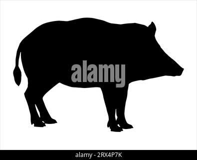 Fond blanc d'art vectoriel silhouette de sanglier Illustration de Vecteur
