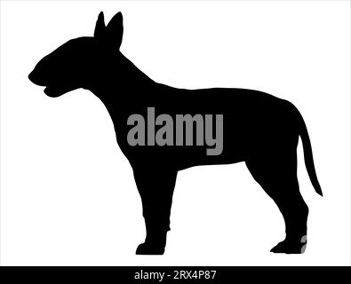 Art vectoriel de silhouette de chien Bull terrier Illustration de Vecteur