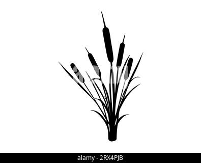 Fond blanc d'art vectoriel de silhouette de cattail Illustration de Vecteur