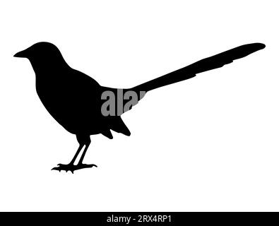 Magpie oiseau silhouette vecteur art fond blanc Illustration de Vecteur