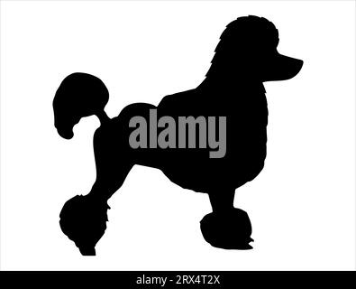 Poodle Dog silhouette vecteur art fond blanc Illustration de Vecteur