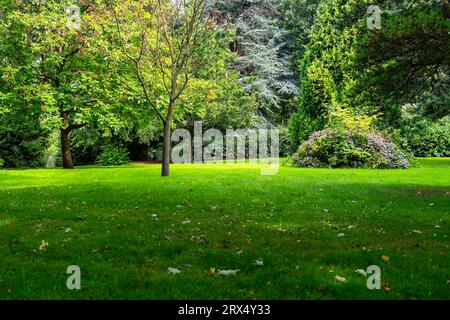 Parc de prairies verdoyantes et de fleurs dans le centre de la ville médiévale d'Édimbourg, en Écosse. Banque D'Images