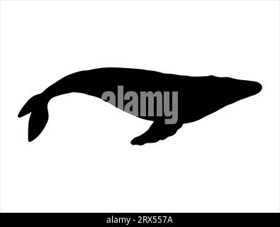 Fond blanc de vecteur art de silhouette de baleine à bosse Illustration de Vecteur