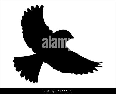 Fond blanc de vecteur art de silhouette d'oiseau volant Illustration de Vecteur