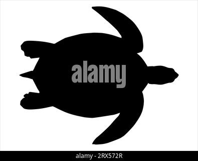 Fond blanc de vecteur art de silhouette de tortue de mer Illustration de Vecteur