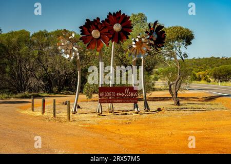 Mullewa, WA, Australie - panneau de bienvenue de la ville en forme de fleurs Banque D'Images