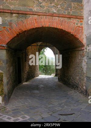 Pont de briques, voûte, métro routier, tunnel, Toscane, Italie Banque D'Images