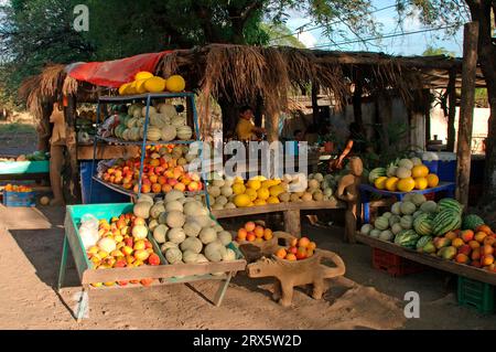 Étal de marché avec des fruits, route panaméricaine, Costa Rica, Panamericana Banque D'Images