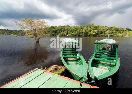 Bateaux d'excursion sur Rio Taruma, à Amazon Eco Lodge, Manaus, Amazonas State, Brésil Banque D'Images