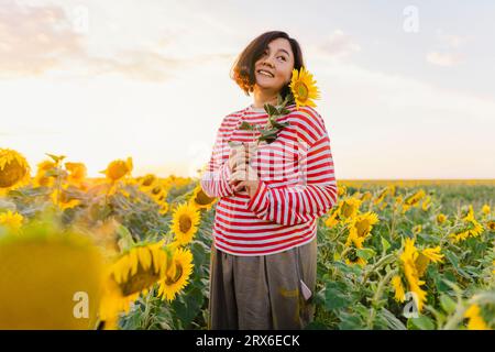Femme souriante appréciant le coucher du soleil dans le champ de tournesol Banque D'Images