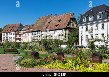 France, Grand est, Wissembourg, Parc au Quai Anselmann avec maisons historiques en arrière-plan Banque D'Images