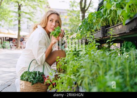 Femme sentant l'usine de menthe sur le marché Banque D'Images