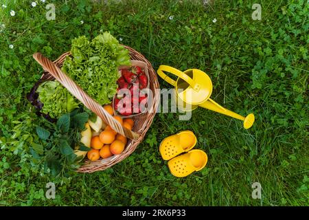 Divers légumes et fruits frais dans le panier avec arrosoir sur l'herbe Banque D'Images
