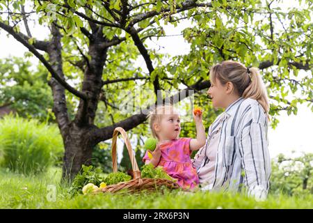 Fille montrant des fruits d'abricot à la mère assise sur l'herbe dans le jardin Banque D'Images