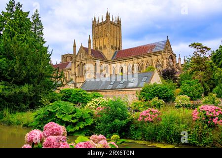 La magnifique cathédrale vue à travers les douves du palais épiscopal à Wells, Somerset, Angleterre, Royaume-Uni Banque D'Images