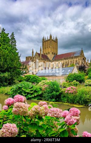 La magnifique cathédrale vue à travers les douves du palais épiscopal à Wells, Somerset, Angleterre, Royaume-Uni Banque D'Images