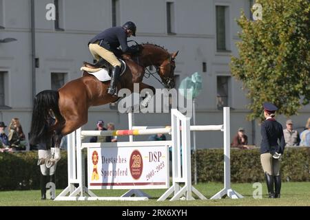 23 septembre 2023, Brandenburg, Neustadt (Dosse) : un cavalier saute sur un obstacle avec un cheval à la parade de l'étalon de Neustadt 2023 sur le terrain de parade. Photo : Michael Bahlo/dpa Banque D'Images