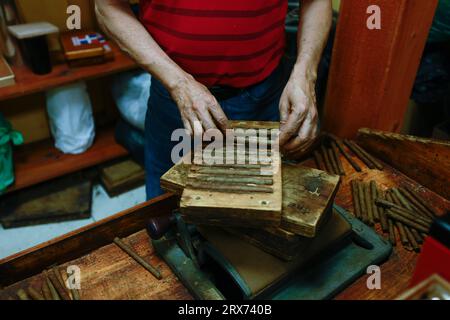 Procédé de fabrication de cigares traditionnels à partir de feuilles de tabac avec les mains à l'aide d'un dispositif mécanique et d'une presse. Feuilles de tabac pour la fabrication de cigares. Gros plan Banque D'Images