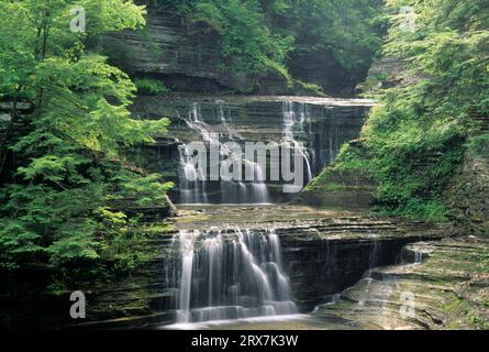 Tombe sur Buttermilk Creek, Buttermilk Falls State Park, New York Banque D'Images