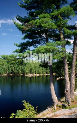 Lac Pharoah, parc naturel du lac Pharoah, parc Adirondack, New York Banque D'Images