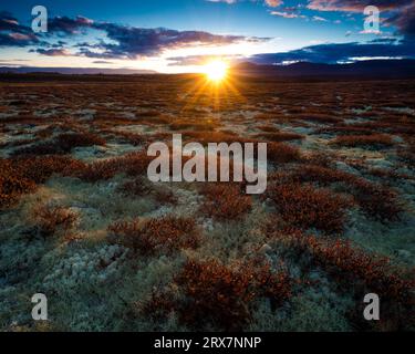 Beau coucher de soleil d'automne et couleurs à la réserve naturelle de Fokstumyra, Dovre, Norvège, Scandinavie. Banque D'Images