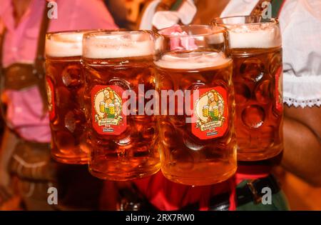 Dresde, Allemagne. 21 septembre 2023. Les Maßkrüge sont tenus entre les mains d'une serveuse lors de la traditionnelle dégustation de bière en fût à l'Oktoberfest de Dresde. La 9e édition de l’Oktoberfest de Pichmännel aura lieu sur le terrain du festival Rinne Dresden et aura une capacité d’accueil de 50 000 visiteurs du 21 septembre au 7 octobre 2023. Crédit : Robert Michael/dpa/Alamy Live News Banque D'Images