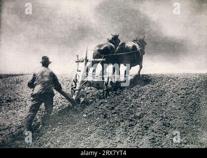 Une traction raide. Peter Henry Emerson. 1887. Banque D'Images