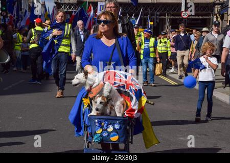 Londres, Angleterre, Royaume-Uni. 23 septembre 2023. Londres, Royaume-Uni. 23 septembre 2023. Les chiens pro-eu se joignent à la marche. Des milliers de manifestants anti-Brexit ont pris part à la marche nationale de réintégration dans le centre de Londres pour exiger que le Royaume-Uni rejoigne l’UE. Crédit : Vuk Valcic/Alamy Live News (crédit image : © Vuk Valcic/ZUMA Press Wire) USAGE ÉDITORIAL SEULEMENT! Non destiné à UN USAGE commercial ! Banque D'Images