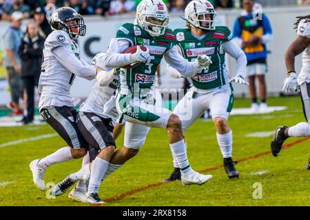 Schwaebisch Hall Allemagne. 23 septembre 2023. Erima GFL / Ligue allemande de football,Viertelfinal match : Schwäbisch Hall Unicorns - Berlin Rebels dans l'Optima Sportpark à Schwaebisch Hall Allemagne sur 23. 09. 2023, WR # 5 Tyler Rutenbeck / Schwaebisch Hall Unicorns crédit : Frank Baumert / Alamy Live News Banque D'Images