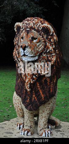 Sculpture en briques LEGO d'animaux en voie de disparition du monde entier - exposée à Sewerby Gardens, East Yorkshire, Angleterre. Lion mâle Banque D'Images