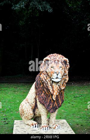 Sculpture en briques LEGO d'animaux en voie de disparition du monde entier - exposée à Sewerby Gardens, East Yorkshire, Angleterre. Lion mâle Banque D'Images