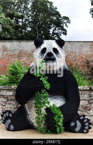 Sculpture en briques LEGO d'animaux en voie de disparition du monde entier - exposée à Sewerby Gardens, East Yorkshire, Angleterre. Panda mangeant du bambou Banque D'Images