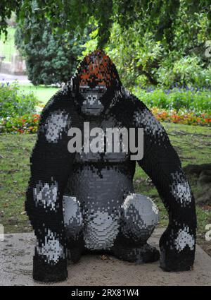 Sculpture en briques LEGO d'animaux en voie de disparition du monde entier - exposée à Sewerby Gardens, East Yorkshire, Angleterre. Gorilla Banque D'Images