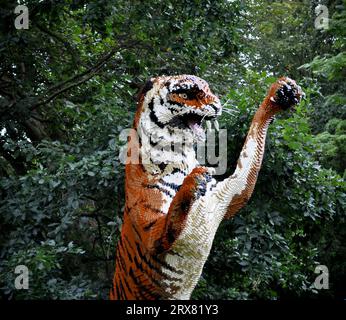 Sculpture en briques LEGO d'animaux en voie de disparition du monde entier - exposée à Sewerby Gardens, East Yorkshire, Angleterre. Tigre Banque D'Images